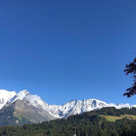 La Comtesse Apartment Saint-Gervais-les-Bains Ngoại thất bức ảnh